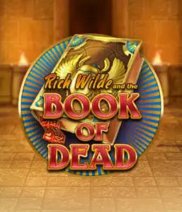 Dive into the thrilling world of Book of Dead by Play'n GO, showcasing vivid graphics of Rich Wilde's journey through ancient Egyptian tombs and artifacts. Discover lost riches with captivating mechanics like free spins, expanding icons, and a gamble option. Ideal for adventure seekers with a desire for unearthing secrets.